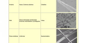 El insht nos detalla clasificación de fibras según su toxicidad